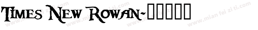 Times New Rowan字体转换